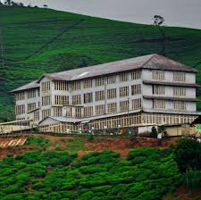 TEA FACTORY VISIT